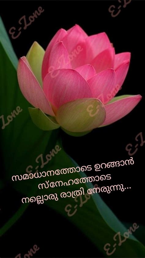 good night images malayalam for friends